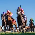 2025 Nashville Derby Invitational Stakes at a Glance 